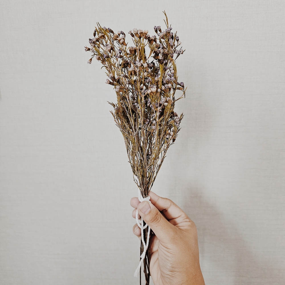 Bundle of Small NaturalDried Purple Flowers